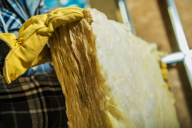 Best Eco-Friendly Insulation in Canton, MS